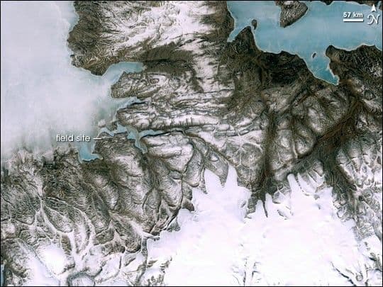 “Fishapod” Fossil Found in the Arctic