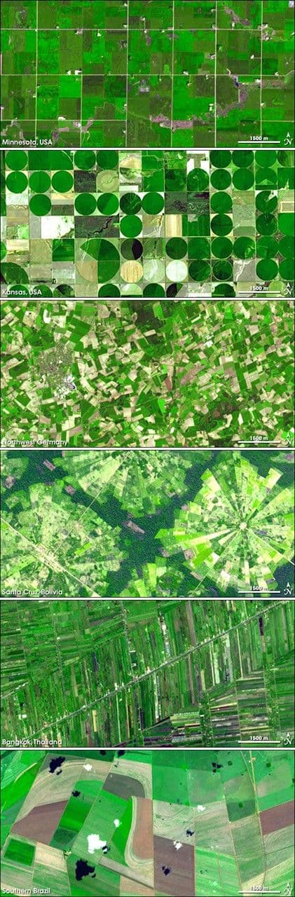 Agricultural Patterns