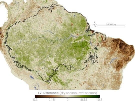 Amazon Greener in Dry Season than Wet
