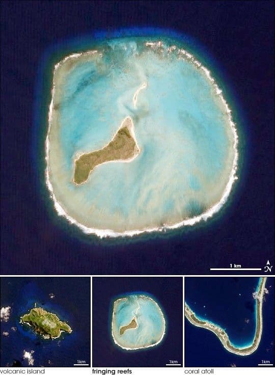 Island Evolution, Part 2: Oeno Island