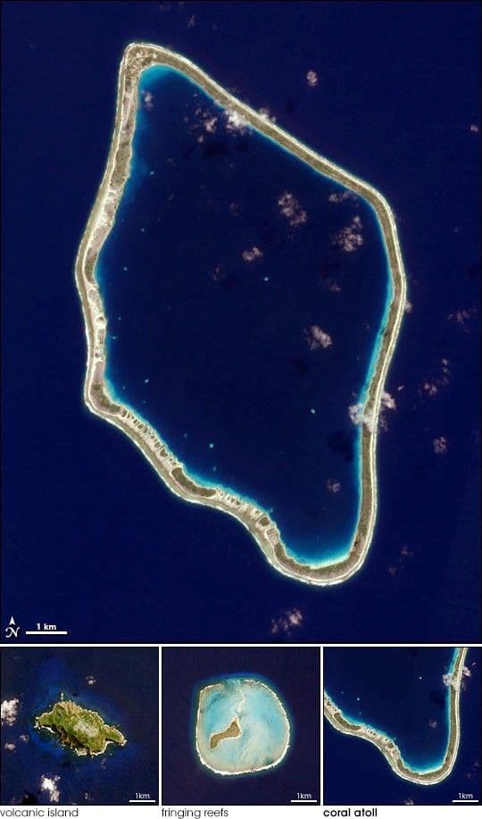 Island Evolution, Part 3: Tureia Atoll