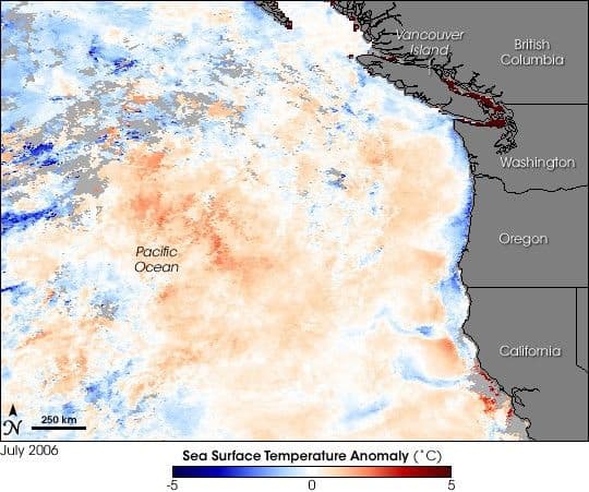 Pacific Cooler Than Normal in Oregon Dead Zone