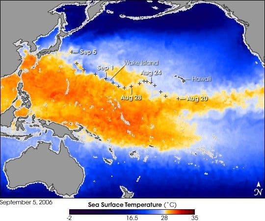 Super Typhoon Ioke’s Cool Wake