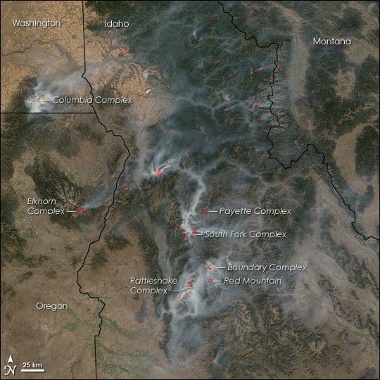 Fires in the Western U.S.