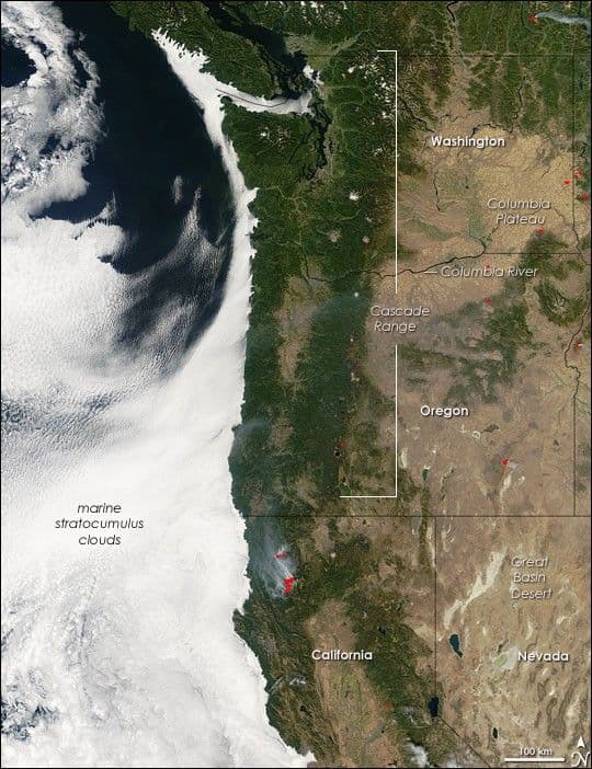 Marine Stratocumulus Clouds in the Pacific Northwest