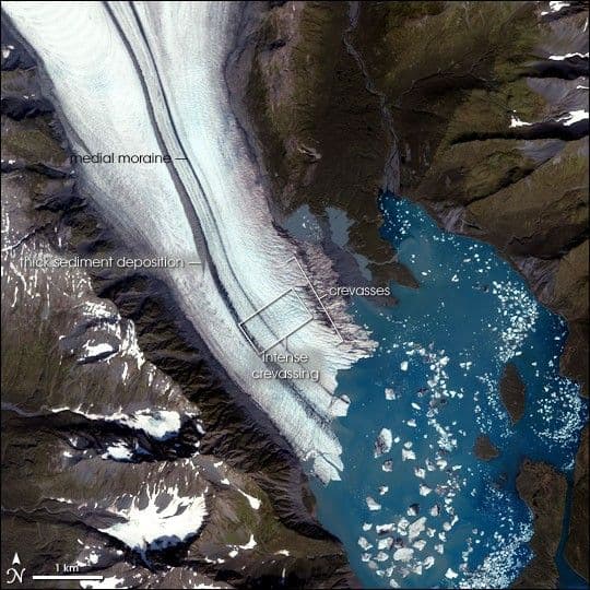 Bear Glacier, Gulf of Alaska