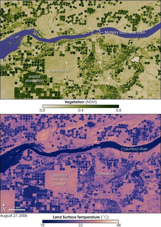Irrigation and Land Surface Temperature in Oregon
