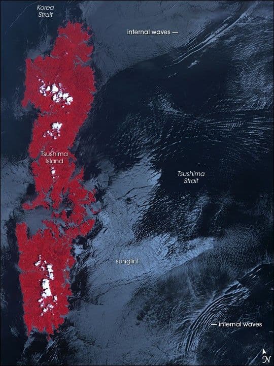 Internal Waves in the Tsushima Strait