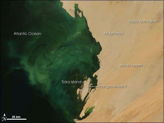 Banc d’Arguin National Park