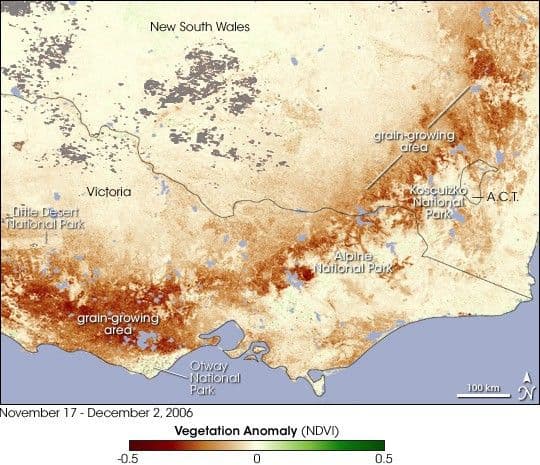Vegetation Struggles in Southeastern Australia