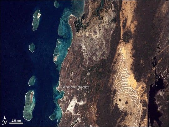 Coral Reefs of Southwest Madagascar