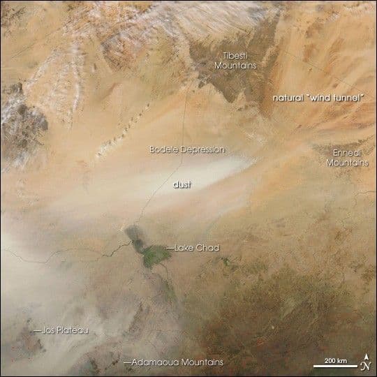 Bodele Depression Dust Feeds Amazon