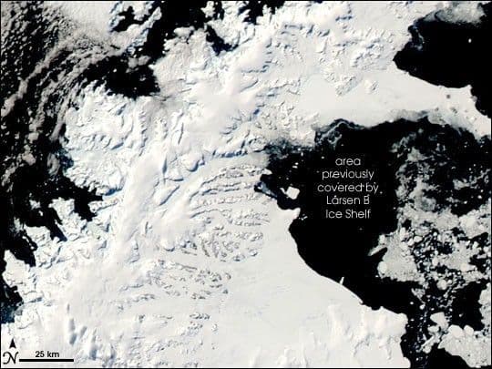 Summer on the Antarctic Peninsula