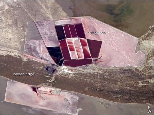 Salt Ponds, Botswana