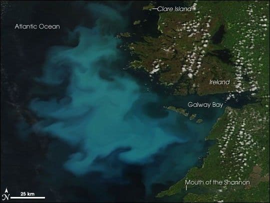 Blooming Seas West of Ireland