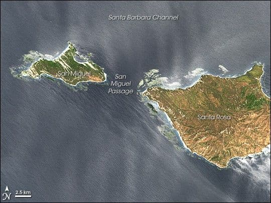 San Miguel and Santa Rosa Islands