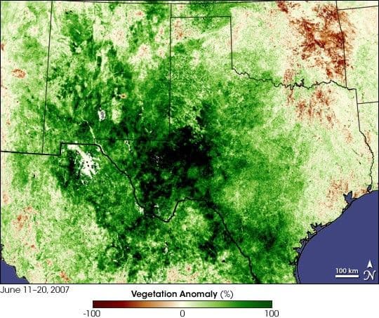 Texas Greenup
