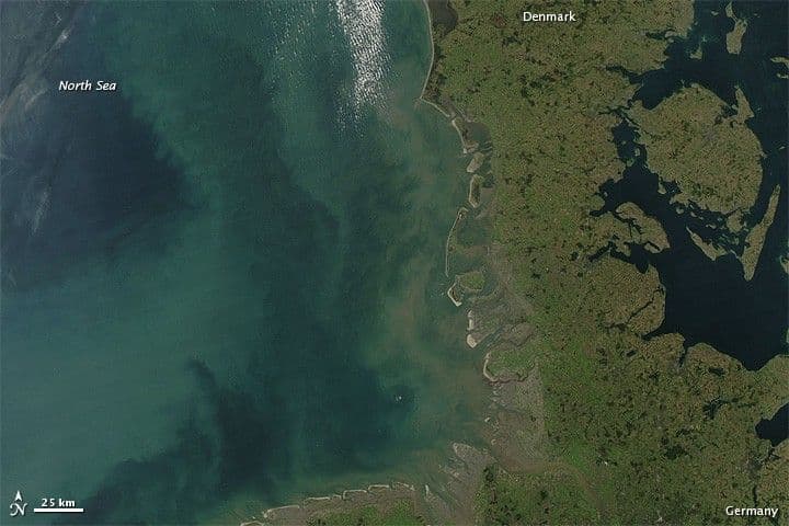 Shades of Green in the North Sea