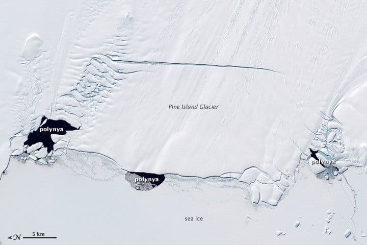 Polynyas and the Pine Island Glacier, Antarctica