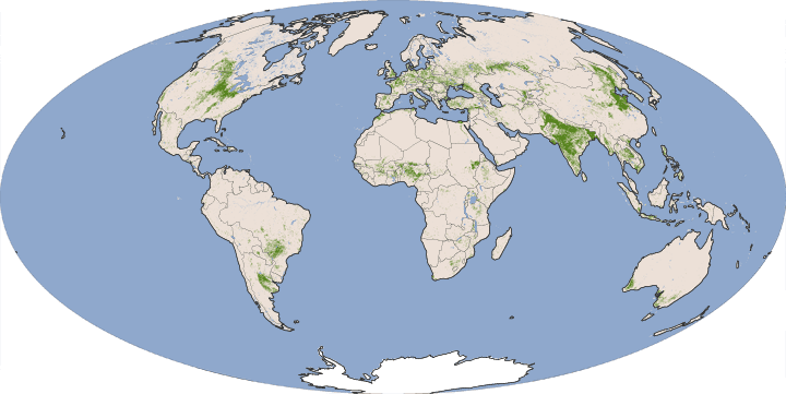 Sustaining Seven Billion People