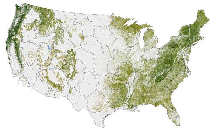Where the Trees Are