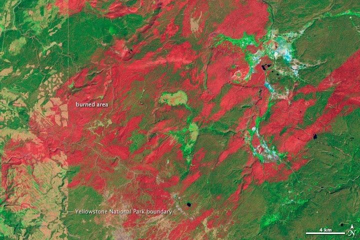 Fire and the Future of Yellowstone