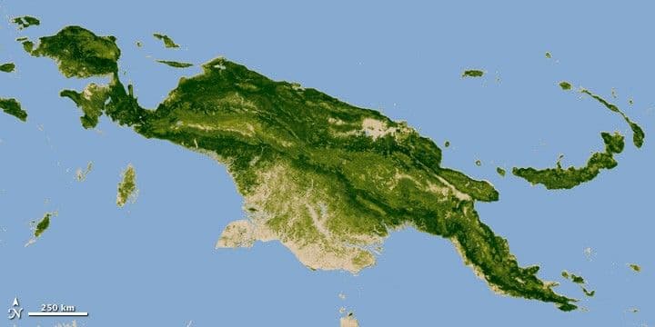 Measuring Carbon and Trees in the Tropics