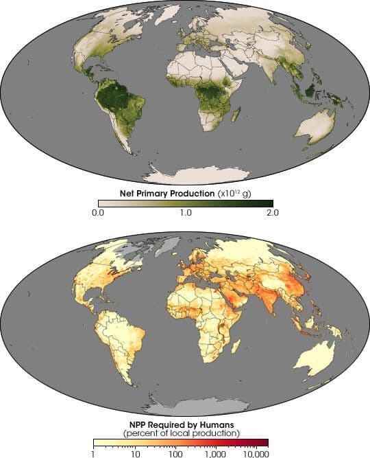 Human Demands on Earth’s Plants