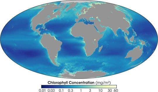 A Decade of Ocean Color