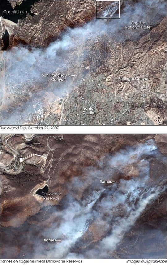 Buckweed Fire