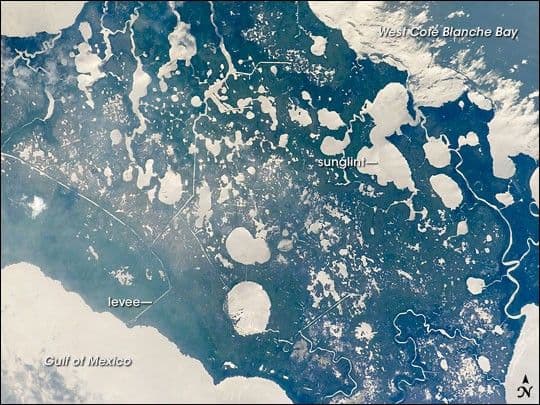 Marsh Island, Louisiana