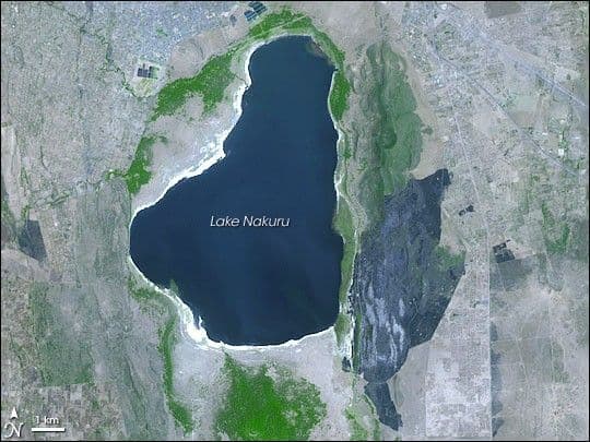 Fire Damages Kenya’s Lake Nakuru National Park