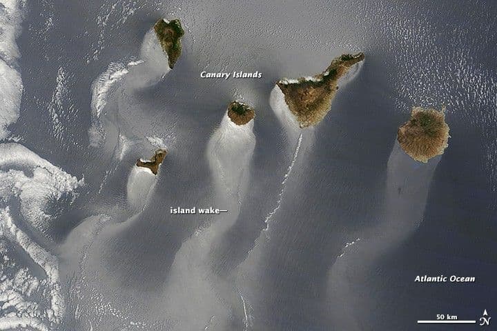 Trailing the Canaries