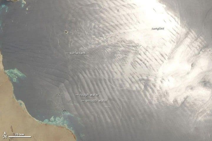 Ocean Revealed