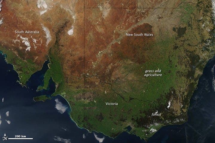 Spring Greening Down Under