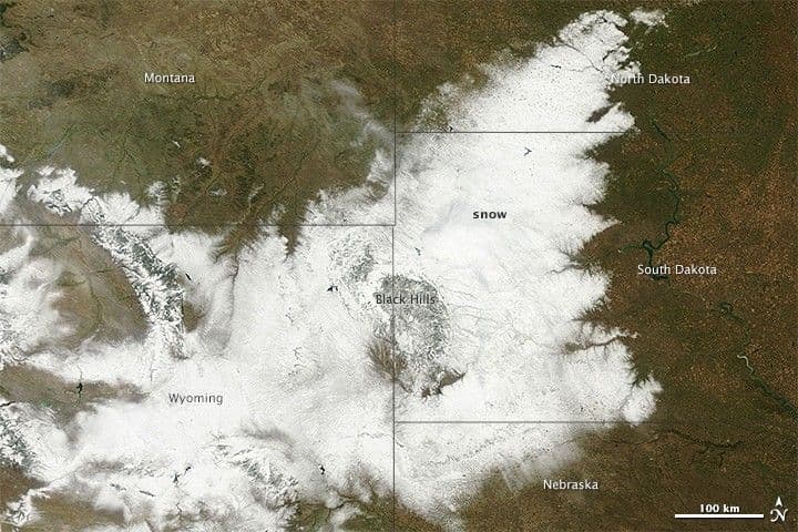 Early Blizzard a Disaster for Cattle