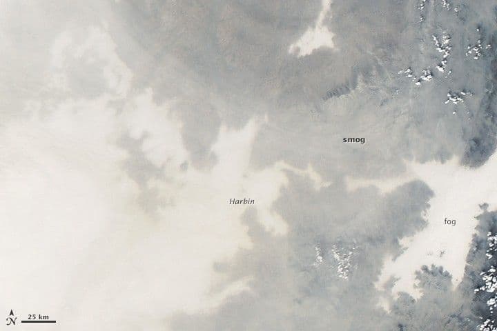 Smog Shuts Down Harbin
