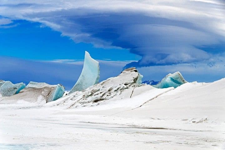 Wonders in the Antarctic Sea and Sky