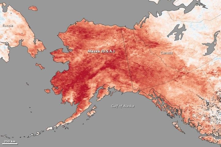 Winter Heat Swamps Alaska