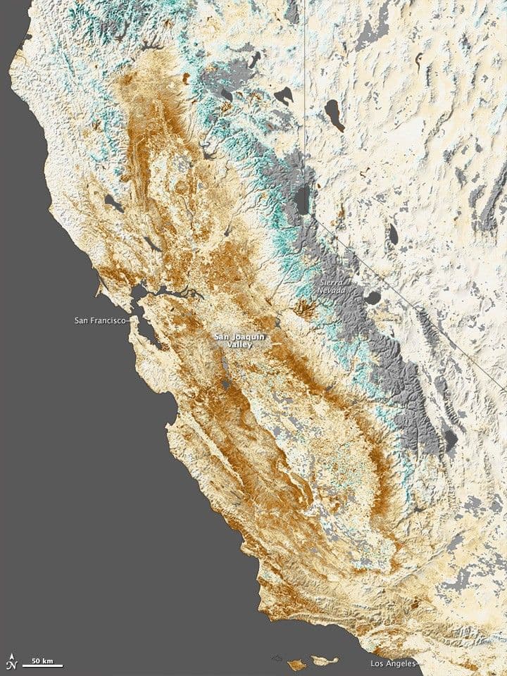 Drought Stressing California’s Plantscape