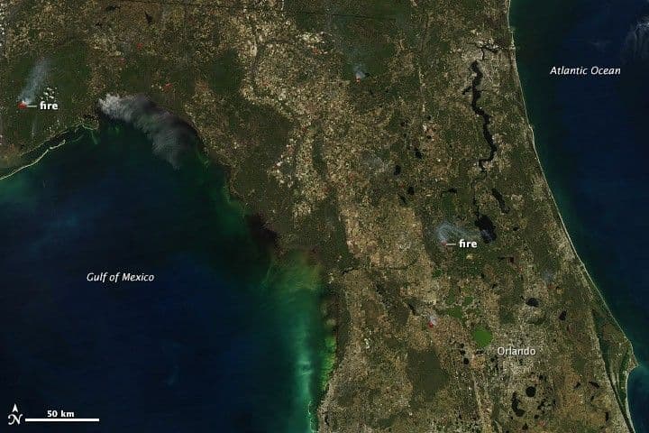 Fires in Florida