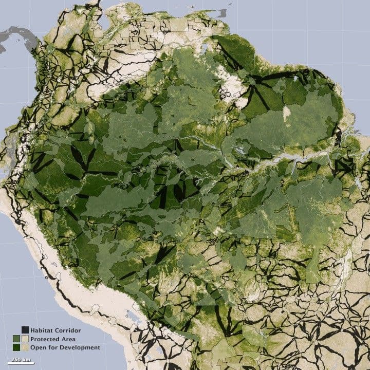 Corridors for Carbon and Critters