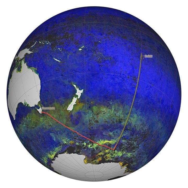 Cruising for Ocean Data