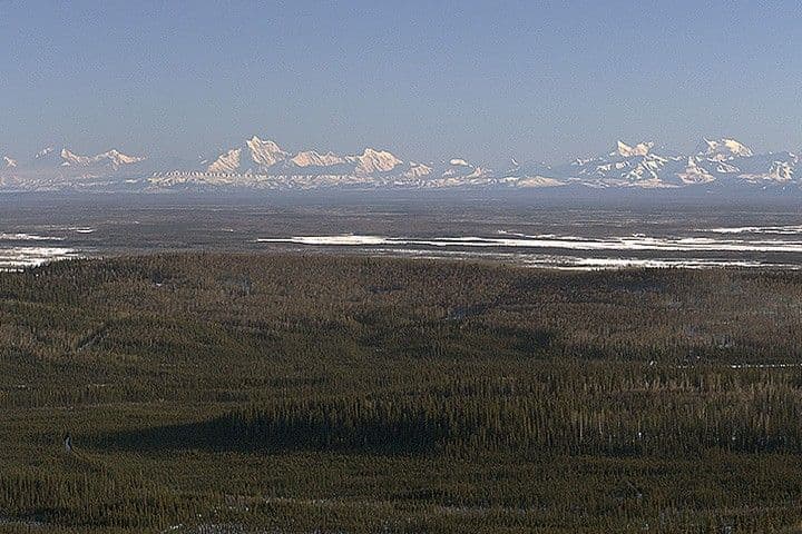 Arctic Views
