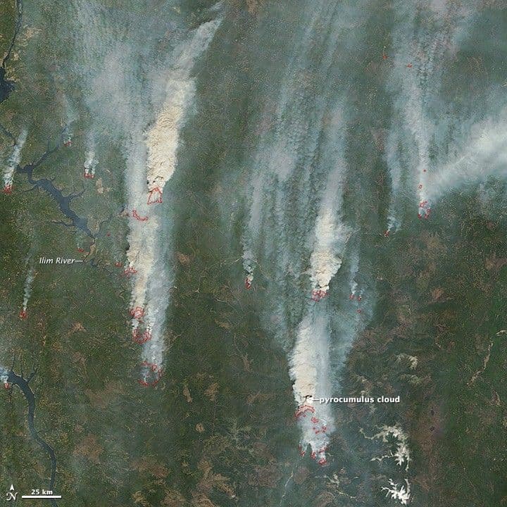 Wildfires in Irkutsk