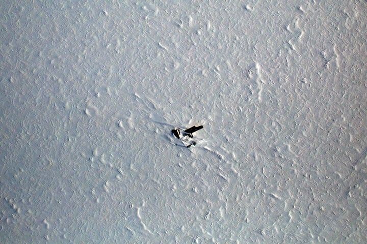 An Old Bird on the Greenland Ice