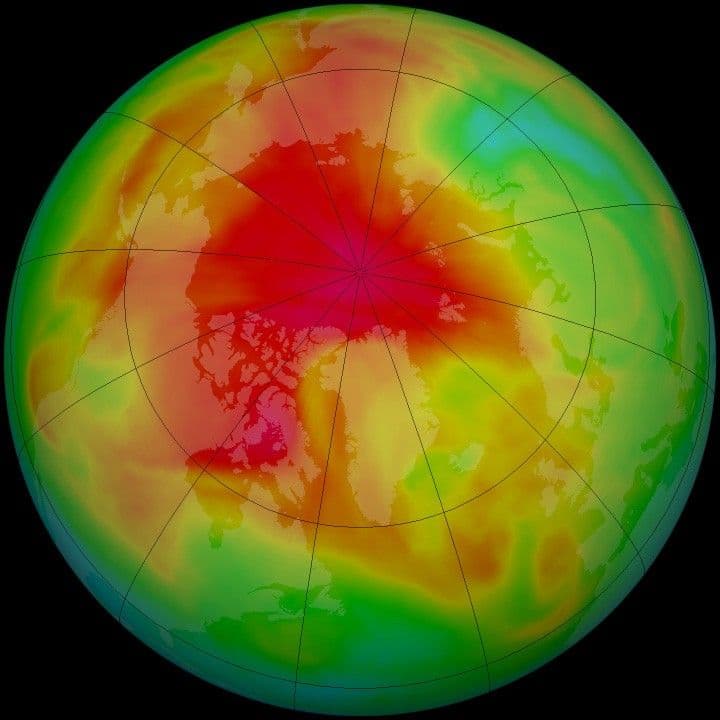 Arctic Ozone in Spring