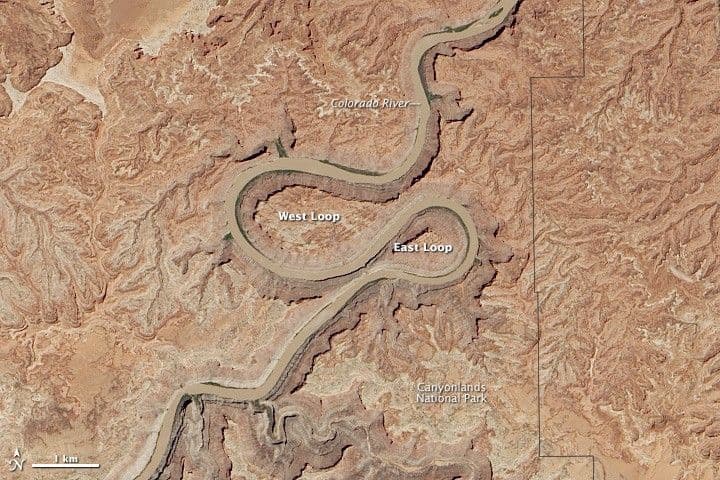 The Loop