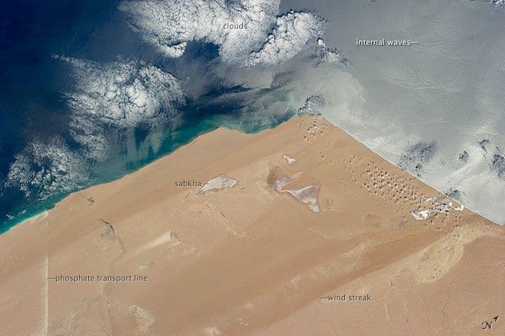 Desert Coast—Morocco, Western Sahara