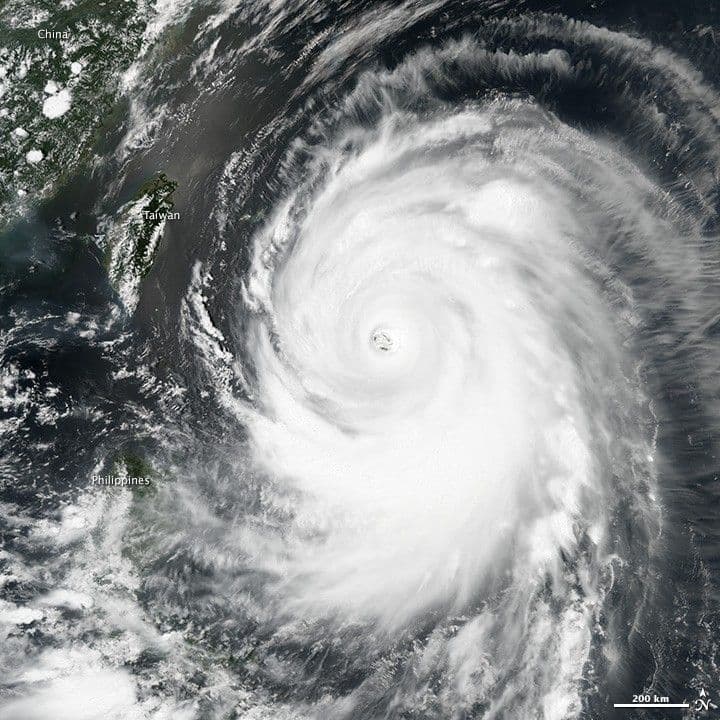 Typhoon Neoguri